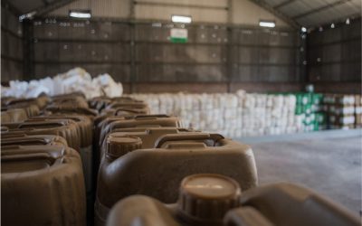 10 millones de kilos de envases vacíos de agroquímicos ya no están en el campo argentino