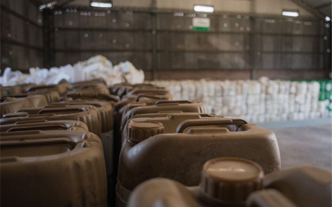 CampoLimpio: un 2025 de segundas oportunidades